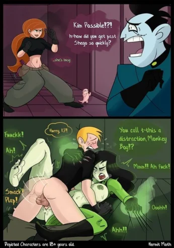 Kim Possible [HermitMoth]