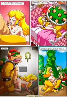 The Mushroom Kingdom Secret 0007