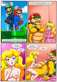 The Mushroom Kingdom Secret0008