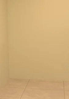 The Visit 5 (9)