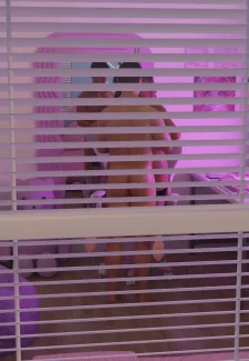 StepSister (45)
