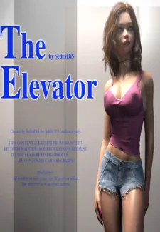 SedesDiS - The Elevator
